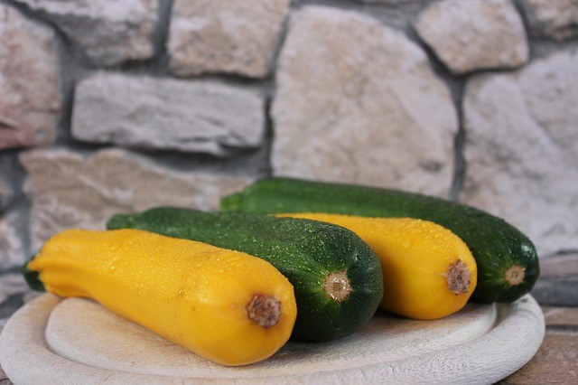 ズッキーニの栄養や効能 代用品についてまとめて紹介します 知りたい